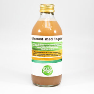 Juice: Eplemost med Ingefær - 0,25L